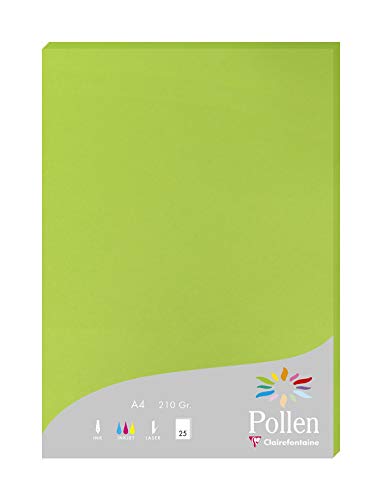Clairefontaine 24215C Packung mit 25 Karten Pollen 210g, DIN A4, 21 x 29,7cm, Minze Clairefontaine 24215C Packung mit 25 Karten Pollen 210g, DIN A4, 21 x 29,7cm, Minze von Clairefontaine