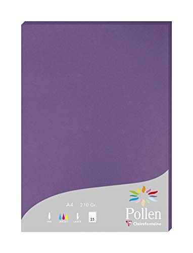 Clairefontaine 24216C Packung mit 25 Karten Pollen 210g, DIN A4, 21 x 29,7cm, Violett Clairefontaine 24216C Packung mit 25 Karten Pollen 210g, DIN A4, 21 x 29,7cm, Violett von Clairefontaine