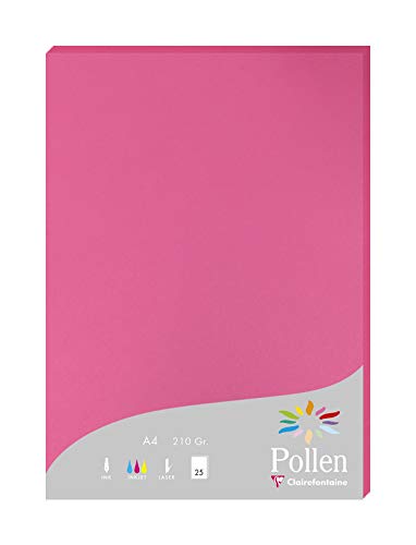 Clairefontaine 24221C Packung mit 25 Karten Pollen 210g, DIN A4, 21 x 29,7cm, Fuchsia Clairefontaine 24221C Packung mit 25 Karten Pollen 210g, DIN A4, 21 x 29,7cm, Fuchsia von Clairefontaine