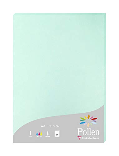 Clairefontaine 24233C Packung mit 25 Karten Pollen 210g, DIN A4, 21 x 29,7cm, Jadegrün von Clairefontaine