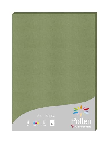 Clairefontaine 24270C - Packung mit 25 Blatt Pollen, DIN A4 210x297 210g/m2, ideal für Ihre Einladungen und Korrespondenz, Salbei, 1 Pack Clairefontaine 24270C - Packung mit 25 Blatt Pollen, DIN A4 210x297 210g/m2, ideal für Ihre Einladungen und Korrespondenz, Salbei, 1 Pack von Clairefontaine