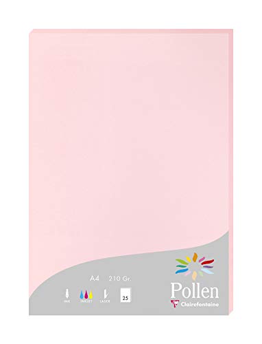 Clairefontaine 24281C Packung mit 25 Karten Pollen 210g, DIN A4, 21 x 29,7cm, Rosa von Clairefontaine