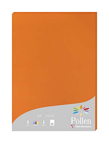 Clairefontaine 24286C Packung mit 25 Karten Pollen 210g, DIN A4, 21 x 29,7cm, Kapuzinerrot von Clairefontaine