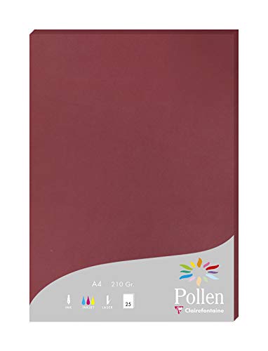 Clairefontaine 24293C Packung mit 25 Karten Pollen 210g, DIN A4, 21 x 29,7cm, Bordeaux von Clairefontaine
