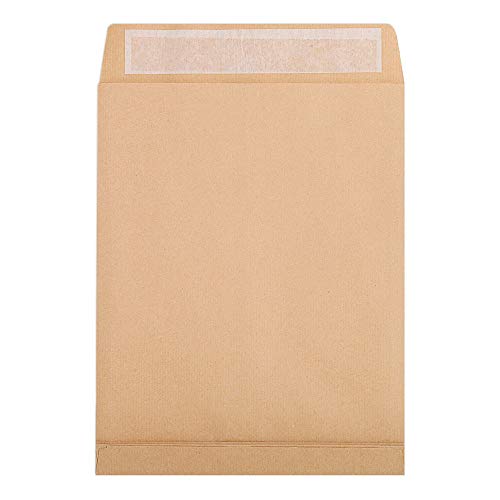 Clairefontaine 274540C - Karton mit 250 Versandtaschen Kraftbraun 260x330 mm, mit Rillen, dehnbar mit Falten 30 mm, selbstklebend, 120g, 1 Karton von Clairefontaine