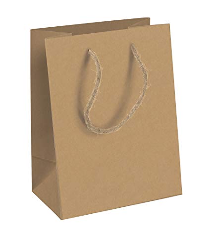 Clairefontaine 28800-3C - Geschenktüte M, ideal für Ihre Geschenke, 21,5x10,2x25,3 cm, 1 Stück, Naturbraun von Eurowrap