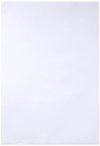 Clairefontaine 37240C Skizzenpapier (55 g, DIN A4, 21 x 29,7 cm, 250 Blatt, ideal für Künstler oder die Schule) weiß von Clairefontaine