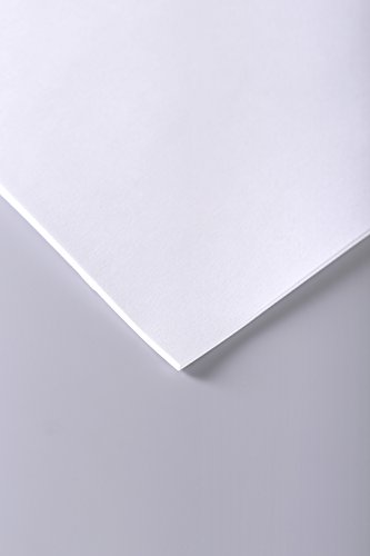 Clairefontaine 37252C Skizzenpapier (70 g, 50 x 65 cm, 25 Blatt, ideal für Künstler oder die Schule) weiß von Clairefontaine