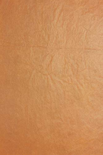 Clairefontaine 393749C Packung (mit 8 Blätter Seidenpapier, 50 x 75 cm, 18 g/qm, ideal für Deko und Bastelprojekte) 8er Pack schokoladenbraun von Clairefontaine