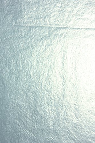 Clairefontaine 393776C Packung (mit 4 Blätter Seidenpapier, 50 x 75 cm, 18 g/qm, ideal für Deko und Bastelprojekte) 4er Pack silber von Clairefontaine