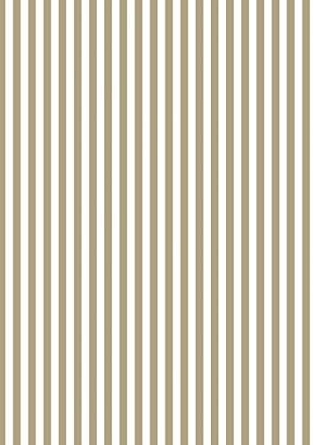 Clairefontaine 393810C Packung mit 4 Blätter Seidenpapier (50 x 70 cm, 18g/qm) 1 Pack streifen gold von Clairefontaine