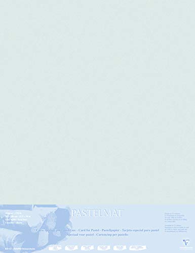 Clairefontaine 396020C Zeichenbögen (Packung mit Bögen Pastelmat auf Karton kaschiert, 1800 µm, 70 x 100 cm, ideal für Trockentechniken und Pastell) hellgrau von Clairefontaine