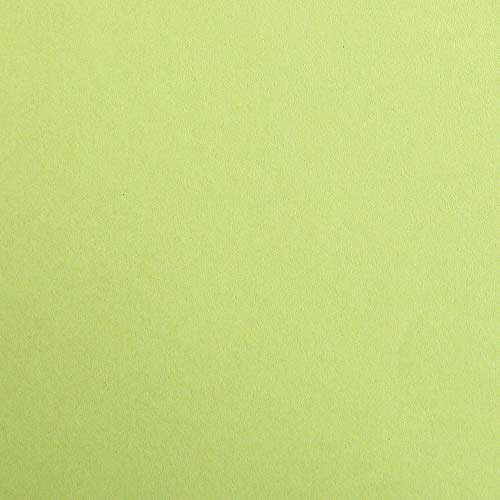 Clairefontaine 397152C Packung (mit 250 Bögen Zeichenpapier Maya, 50 x 70 cm,120g, glatt, ideal für Trockentechnik und Einrahmen) lindgrün von Clairefontaine
