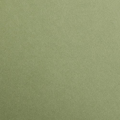 Clairefontaine 397170C Packung (mit 250 Bögen Zeichenpapier Maya, 50 x 70 cm,120g, glatt, ideal für Trockentechnik und Einrahmen) laubgrün von Clairefontaine