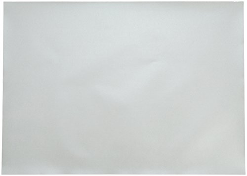 Clairefontaine 397181C Packung (mit 250 Bögen Zeichenpapier Maya, 50 x 70 cm,120g, glatt, ideal für Trockentechnik und Einrahmen) silber von Clairefontaine