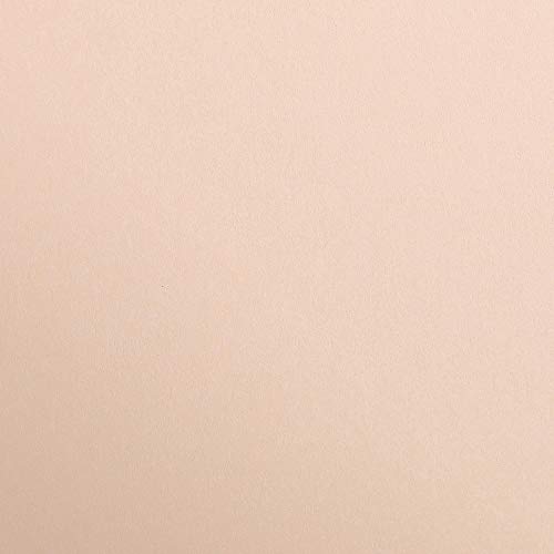Clairefontaine 397264C Packung (mit 125 Bögen Zeichenpapier Maya, 50 x 70 cm,270g, glatt, ideal für Trockentechnik und Einrahmen) Aprikose von Clairefontaine