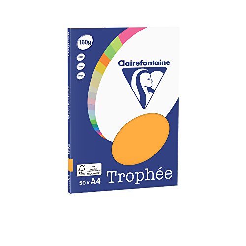 Clairefontaine 4158C - Ries Druckerpapier / Kopierpapier Clairalfa PPP, DIN A4, 160g, 50 Blatt, Mandarine, 1 Ries Clairefontaine 4158C - Ries Druckerpapier / Kopierpapier Clairalfa PPP, DIN A4, 160g, 50 Blatt, Mandarine, 1 Ries von Clairefontaine