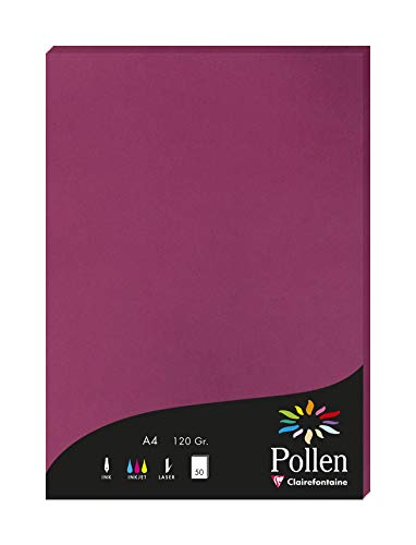 Clairefontaine 4206C Packung mit 50 Karten Pollen 120g, DIN A4, 21 x 29,7cm, Himbeer Clairefontaine 4206C Packung mit 50 Karten Pollen 120g, DIN A4, 21 x 29,7cm, Himbeer von Clairefontaine