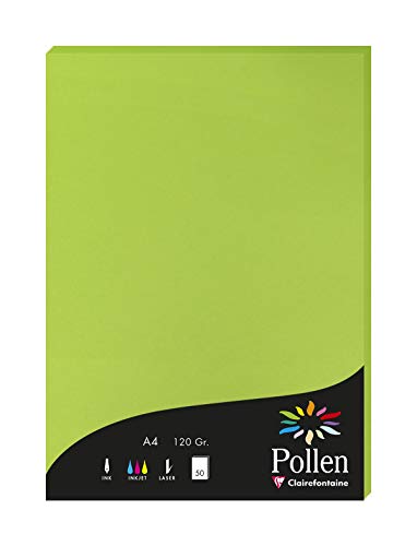 Clairefontaine 4215C Packung mit 50 Karten Pollen 120g, DIN A4, 21 x 29,7cm, Minze Clairefontaine 4215C Packung mit 50 Karten Pollen 120g, DIN A4, 21 x 29,7cm, Minze von Clairefontaine