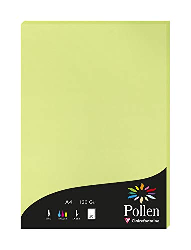Clairefontaine 44205C Packung mit 50 Karten Pollen 120g, DIN A4, 21 x 29,7cm, Knospengrün von Clairefontaine