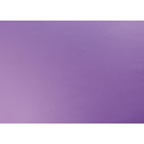 Clairefontaine 455610C - Packung mit 25 Bögen Fotokarton, 50x65cm, 300g, 1 Pack, Malve Clairefontaine 455610C - Packung mit 25 Bögen Fotokarton, 50x65cm, 300g, 1 Pack, Malve von Clairefontaine