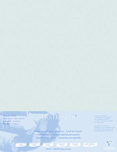 Clairefontaine 496020C Packung (mit 5 Zeichenbögen Pastelmat, auf Karton kaschiert, 1800 µm, 50 x 70 cm, ideal für Trockentechniken und Pastell) hellgrau von Clairefontaine