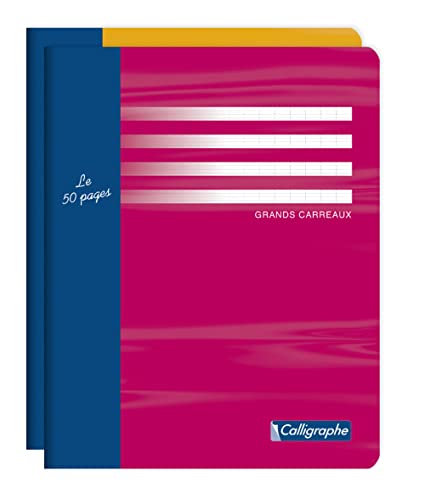 Clairefontaine 5412C - Packung mit 20 Heften Calligraphe geheftet, 17 x 22 cm, franzözische Lineatur, 24 Blatt, 56g, farbig sortiert, 1 Pack von Calligraphe