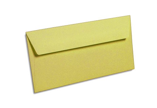 Clairefontaine 5485C - Packung mit 20 Umschläge Pollen, Format DL, 110 x 220 mm, 120g, ideal für Einladungen und Korrespondenz, Karamel, 1 Pack von Clairefontaine