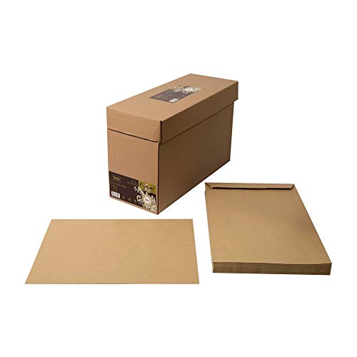 Clairefontaine 67502C - Karton mit 250 Versandtaschen Forever Kraft Kraftbraun 100% Recycling Papier C4-229x324 mm, selbstklebend, 90g, 1 Karton von Clairefontaine