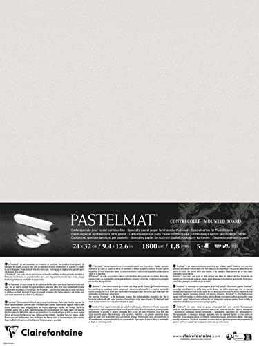 Clairefontaine 796020C - Packung mit 5 Bogen Pastelmat kaschiert, DIN A4+, 24x32cm, praktisch und sicher, 360g, Hellgrau, 1 Pack Clairefontaine 796020C - Packung mit 5 Bogen Pastelmat kaschiert, DIN A4+, 24x32cm, praktisch und sicher, 360g, Hellgrau, 1 Pack von Clairefontaine
