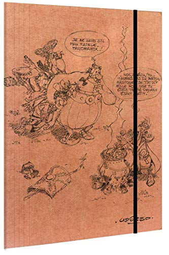Clairefontaine 812946C - Zeichenmappe mit 3 Klappen, DIN A4+, 24x32 cm 'Asterix und Obelix', braun mit Motiv, Motive sortiert, 1 Stück von Clairefontaine