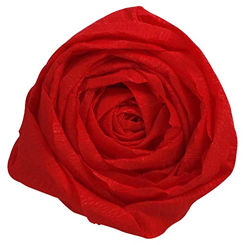 Clairefontaine 901006C Packung mit 10 Bögen Krepppapier, 2 x 0,5m, ideal für Schulaktivitäten, 1 Pack, rot Clairefontaine 901006C Packung mit 10 Bögen Krepppapier, 2 x 0,5m, ideal für Schulaktivitäten, 1 Pack, rot von Clairefontaine