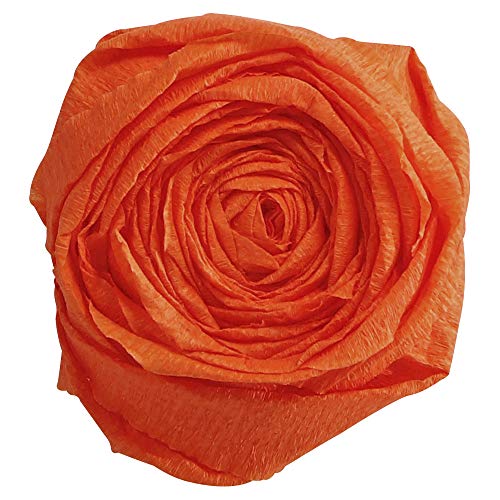 Clairefontaine 901058C Packung mit 10 Bögen Krepppapier, 2 x 0,5m, ideal für Schulaktivitäten, 1 Pack, orange Clairefontaine 901058C Packung mit 10 Bögen Krepppapier, 2 x 0,5m, ideal für Schulaktivitäten, 1 Pack, orange von Clairefontaine