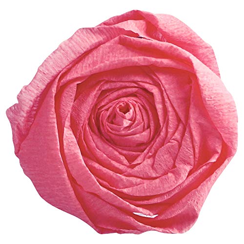 Clairefontaine 901060C Packung mit 10 Bögen Krepppapier, 2 x 0,5m, ideal für Schulaktivitäten, 1 Pack, rosa Clairefontaine 901060C Packung mit 10 Bögen Krepppapier, 2 x 0,5m, ideal für Schulaktivitäten, 1 Pack, rosa von Clairefontaine
