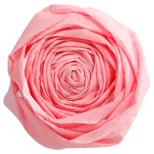 Clairefontaine 903033C Packung mit 10 Bögen Krepppapier, 2,5 x 0,5m, ideal für kreativen Hobbies, 1 Pack, hellrosa Clairefontaine 903033C Packung mit 10 Bögen Krepppapier, 2,5 x 0,5m, ideal für kreativen Hobbies, 1 Pack, hellrosa von Clairefontaine