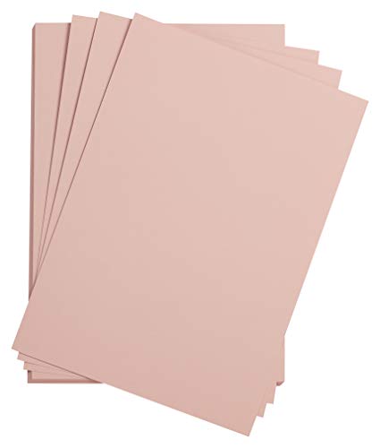 Clairefontaine 90783C - Packung mit 25 Bogen Zeichenpapier Etival Color, DIN A3, 29,7 x 42cm, 160g, 1 Pack Dunkelrosa Clairefontaine 90783C - Packung mit 25 Bogen Zeichenpapier Etival Color, DIN A3, 29,7 x 42cm, 160g, 1 Pack Dunkelrosa von Clairefontaine