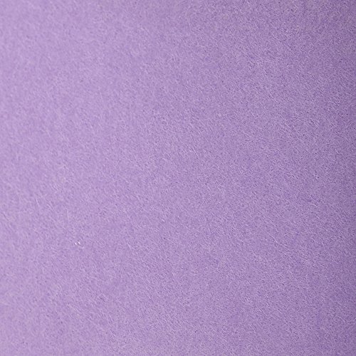 Clairefontaine 90859C Packung (mit 5 Bögen Zeichenpapier Etival Color, DIN A4, 21 x 29,7 cm, 160g, gekörntes Papier, ideal für Trockentechnik und Einrahmen) flieder von Clairefontaine