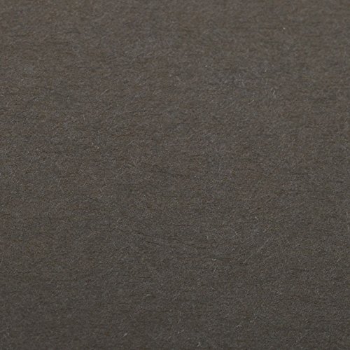 Clairefontaine 90860C Packung (mit 5 Bögen Zeichenpapier Etival Color, DIN A4, 21 x 29,7 cm, 160g, gekörnt, ideal für Trockentechnik und Einrahmen) anthrazit von Clairefontaine