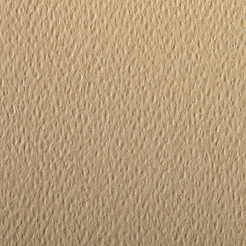 Clairefontaine 90866C Packung (mit 5 Bögen Zeichenpapier Etival Color, DIN A4, 21 x 29,7 cm, 160g, gekörnt, ideal für Trockentechnik und Einrahmen) kamelbraun von Clairefontaine