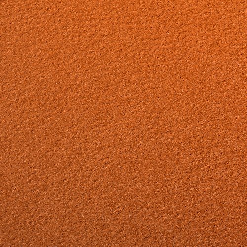 Clairefontaine 90873C Packung (mit 5 Bögen Zeichenpapier Etival Color, DIN A4, 21 x 29,7 cm, 160g, gekörnt, ideal für Trockentechnik und Einrahmen) orange von Clairefontaine