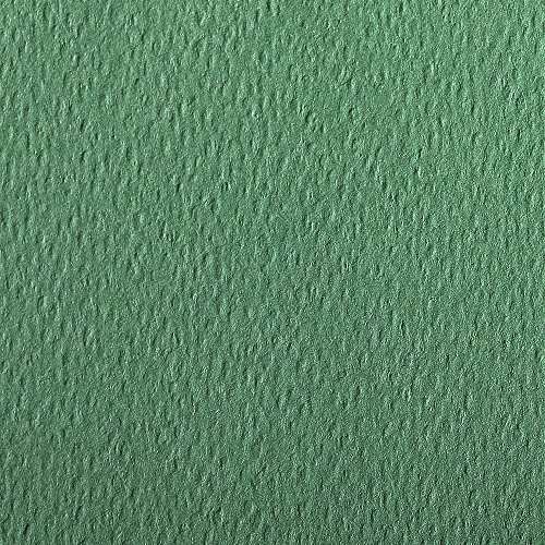 Clairefontaine 90878C Packung (mit 5 Bögen Zeichenpapier Etival Color, DIN A4, 21 x 29,7 cm, 160g, gekörnt, ideal für Trockentechnik und Einrahmen) dunkelgrün von Clairefontaine
