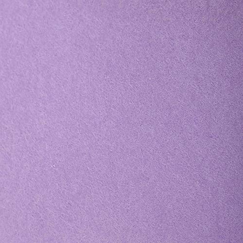 Clairefontaine 93759C Packung (mit 24 Bögen Zeichenpapier Etival Color, 50 x 65 cm, 160g, gekörnt, ideal für Trockentechnik und Einrahmen) flieder von Clairefontaine