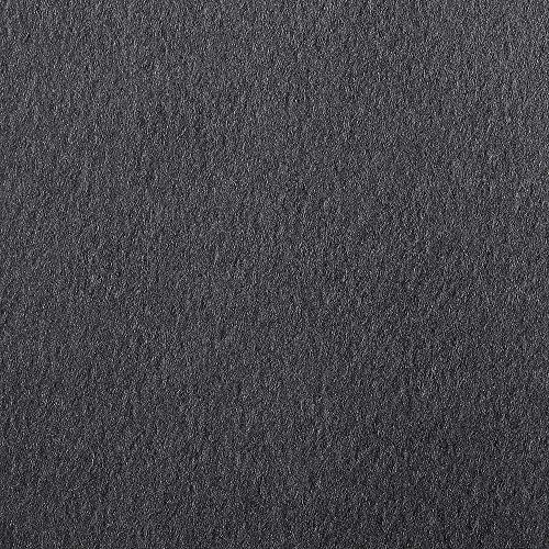 Clairefontaine 93770C Zeichenpapier Etival (50 x 65 cm, 160 g, ideal für Trockentechniken, 24er Pack) schwarz von Clairefontaine