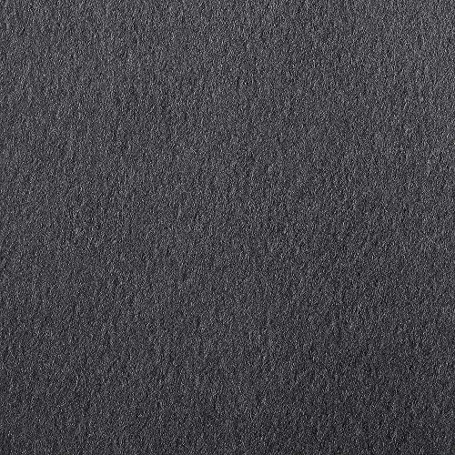 Clairefontaine 93770C Zeichenpapier Etival (50 x 65 cm, 160 g, ideal für Trockentechniken, 24er Pack) schwarz von Clairefontaine