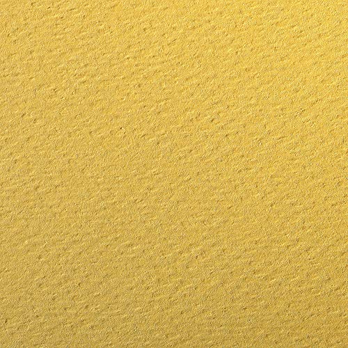 Clairefontaine 93771C Packung (mit 24 Bögen Zeichenpapier Etival Color, 50 x 65 cm, 160g, gekörnt, ideal für Trockentechnik und Einrahmen) gelb von Clairefontaine