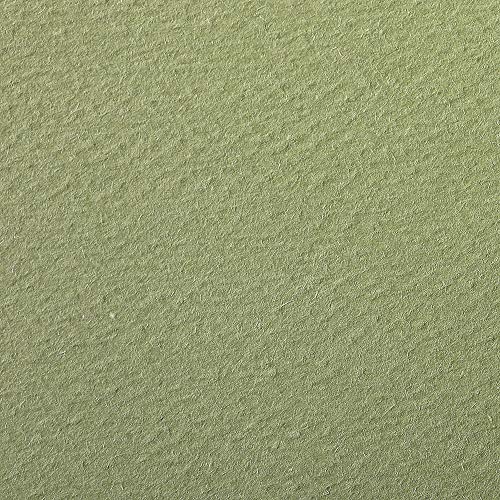Clairefontaine 93784C Packung (mit 24 Bögen Zeichenpapier Etival Color, 50 x 65cm, 160g, gekörnt, ideal für Trockentechnik und Einrahmen) olivgrün von Clairefontaine