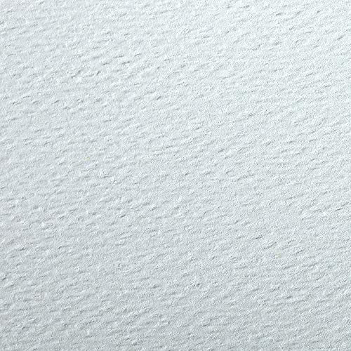 Clairefontaine 93794C Packung (mit 24 Bögen Zeichenpapier Etival Color, 50 x 65 cm, 160g, gekörnt, ideal für Trockentechnik und Einrahmen) azurblau von Clairefontaine