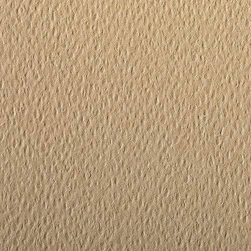 Clairefontaine 93866C Packung (mit 25 Bögen Zeichenpapier Etival Color, DIN A4, 21 x 29,7 cm, 160g, gekörnt, ideal für Trockentechnik und Einrahmen) kamelbraun von Clairefontaine