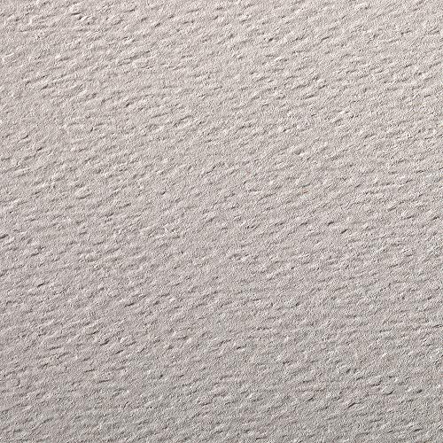 Clairefontaine 93869C Packung (mit 25 Bögen Zeichenpapier Etival Color, DIN A4, 21 x 29,7 cm, 160g, gekörnt, ideal für Trockentechnik und Einrahmen) graurosa von Clairefontaine