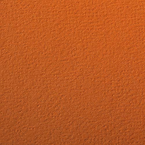 Clairefontaine 93873C Packung (mit 25 Bögen Zeichenpapier Etival Color, DIN A4, 21 x 29,7 cm, 160g, gekörnt, ideal für Trockentechnik und Einrahmen) orange von Clairefontaine